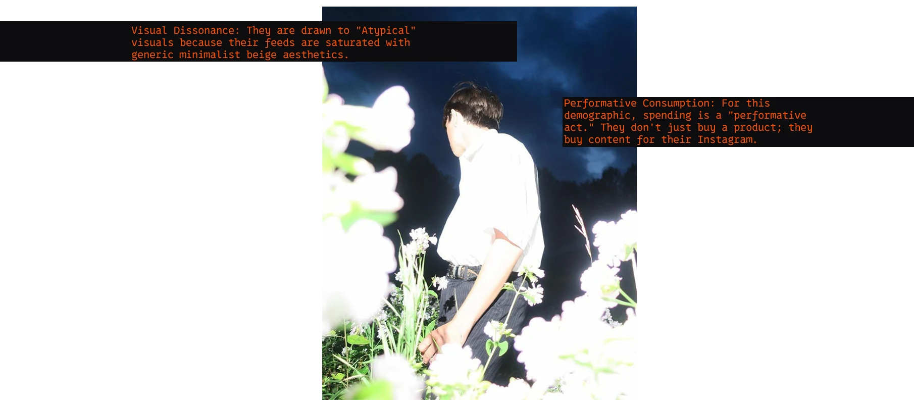 A flash-lit figure among white flowers at night, annotated with notes on visual dissonance and performative consumption