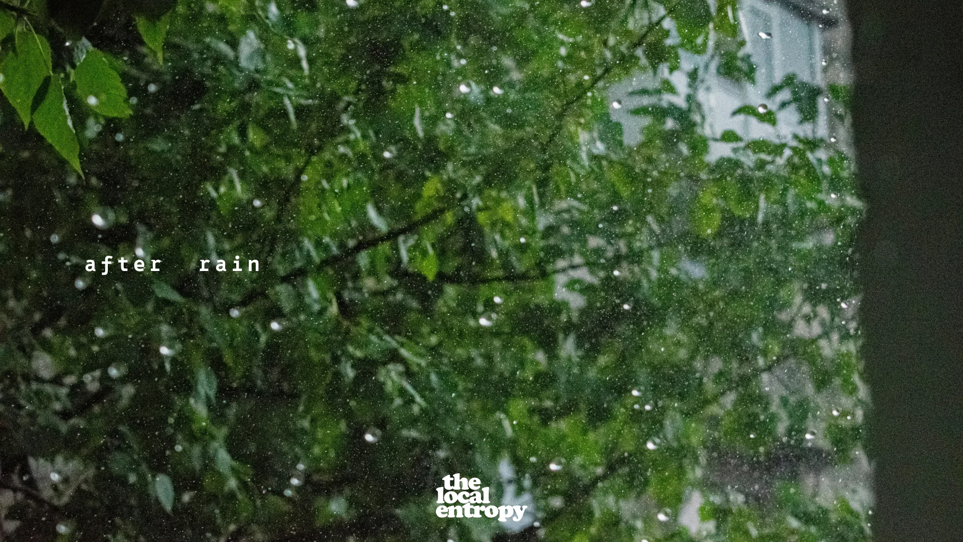 Rain falling through green foliage, the brand wordmark resting in the corner