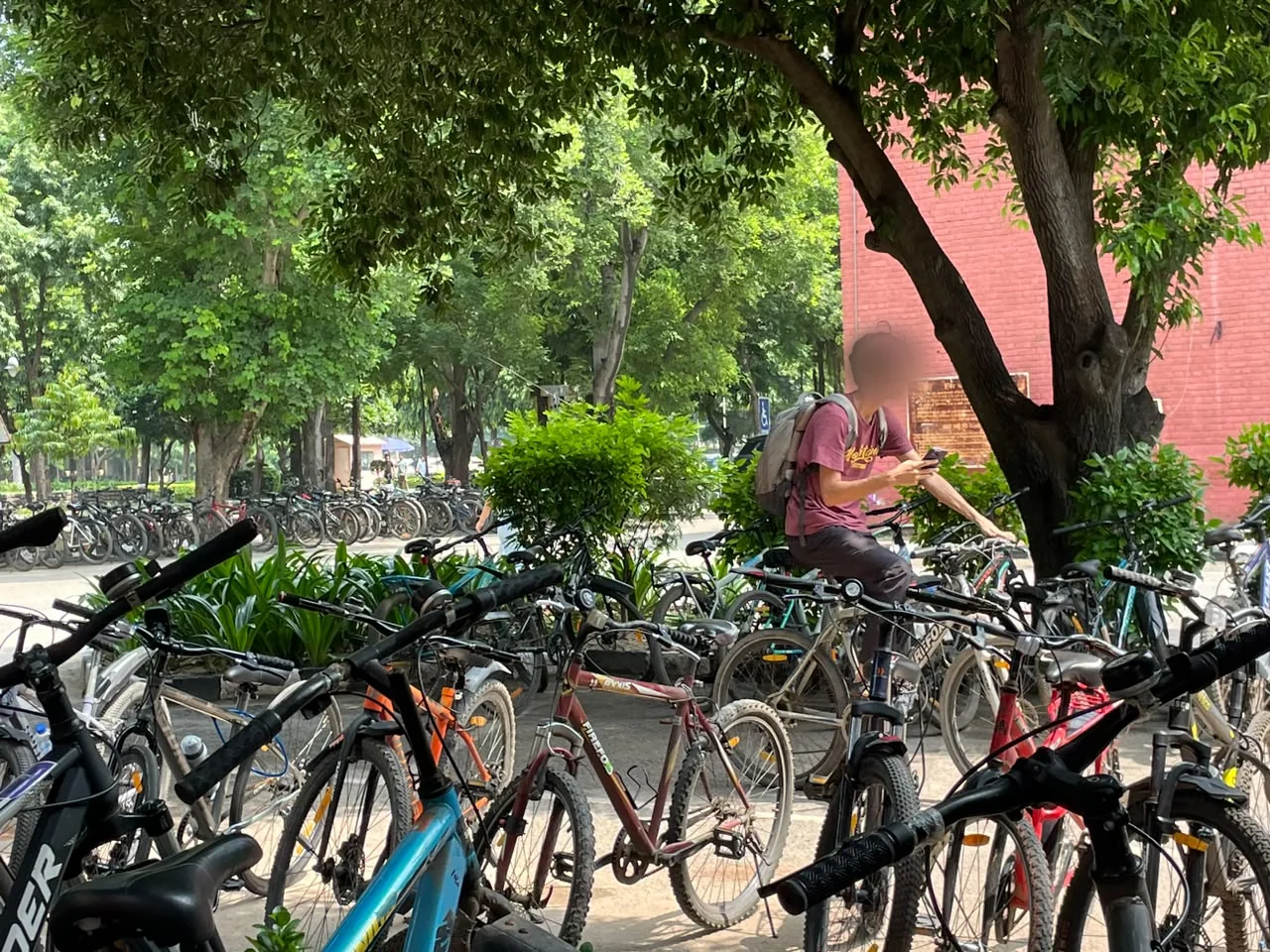 A rider stopping among the parked rows, looking at a phone, with the lane continuing behind