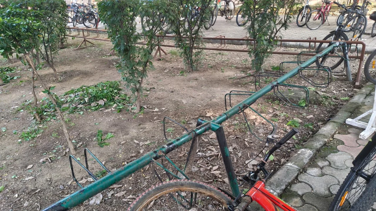 A green bar standing inside a planted bed, closed in by shrubs and reachable only by lifting a cycle over the kerb