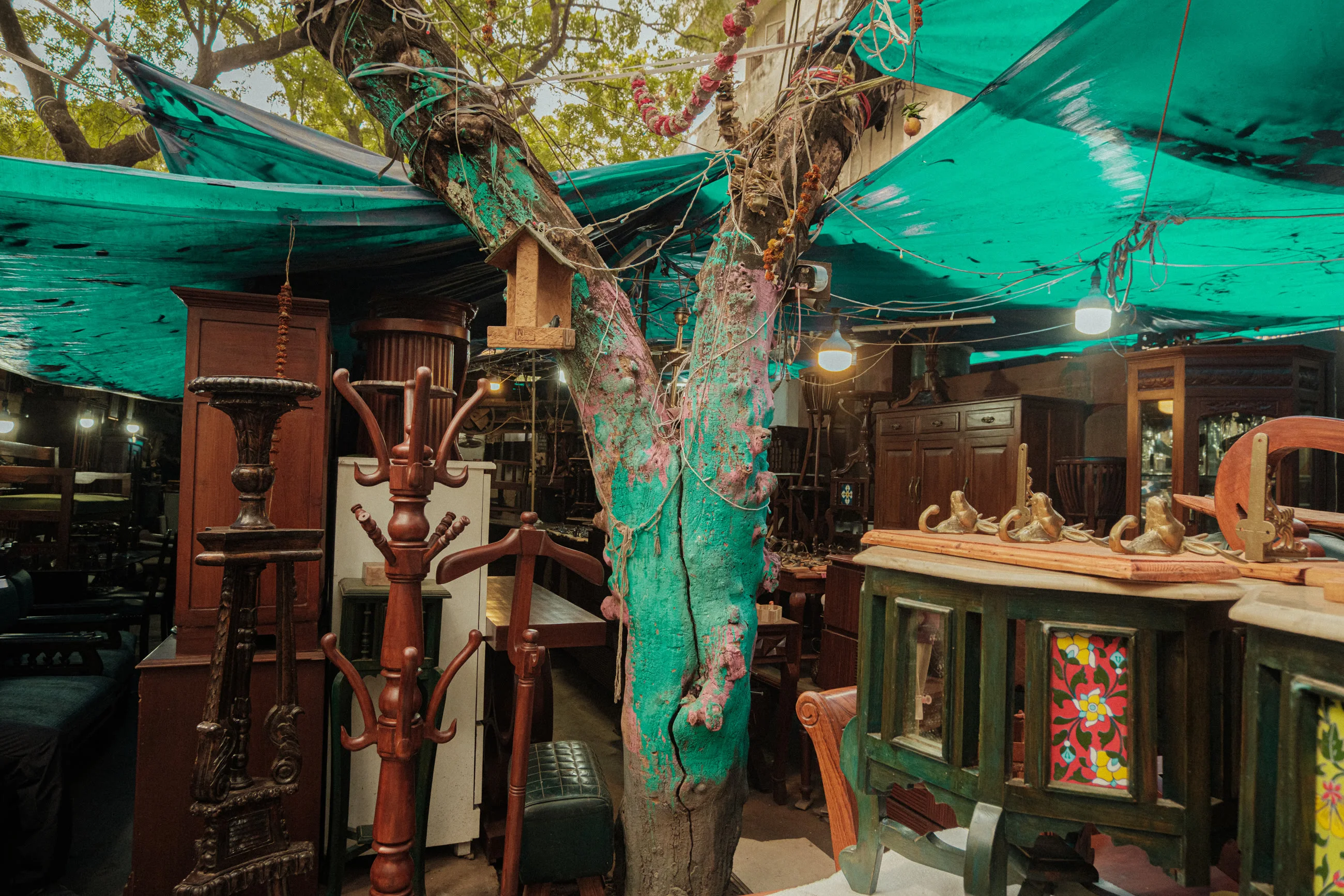 Antique furniture beneath a teal tarpaulin canopy with a tree growing through