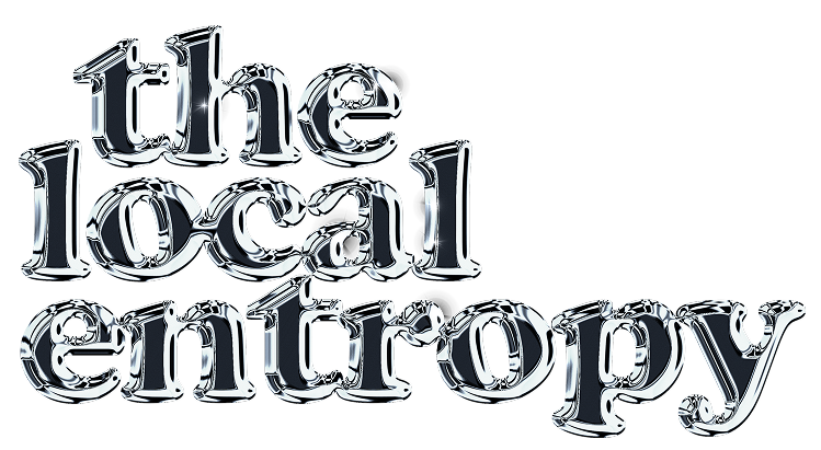 The Local Entropy wordmark rendered in liquid chrome