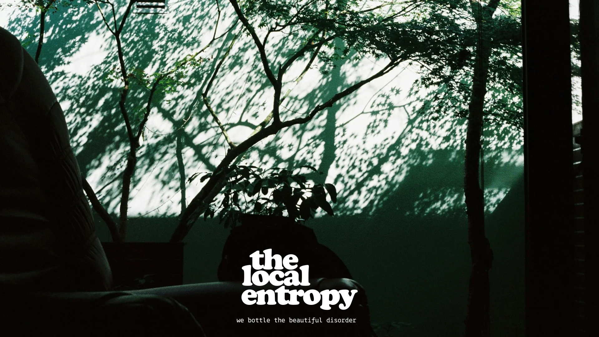 Dappled monsoon light through trees, the wordmark and the line we bottle the beautiful disorder