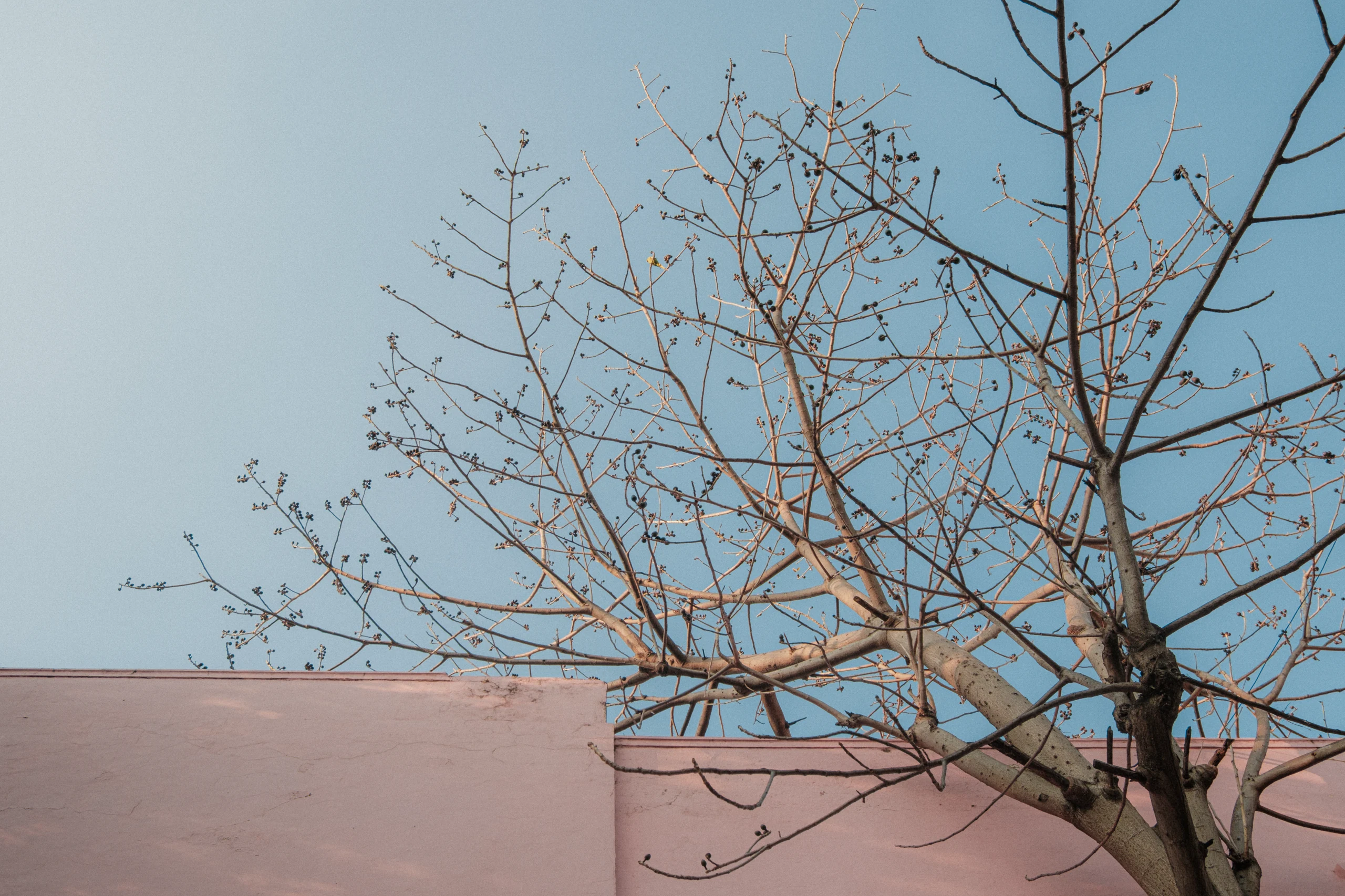 Photograph · Fujifilm X-T50 · 23mm · f/8