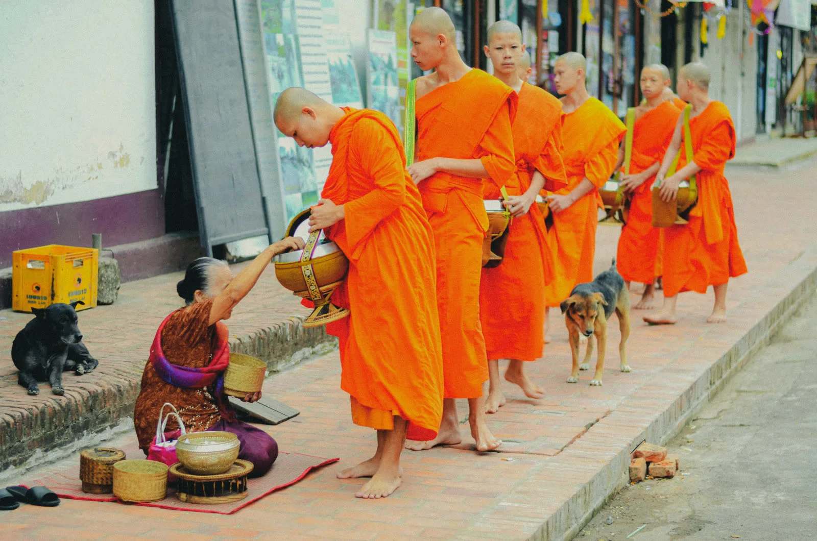 Monks in saffron robes receiving alms at dawn