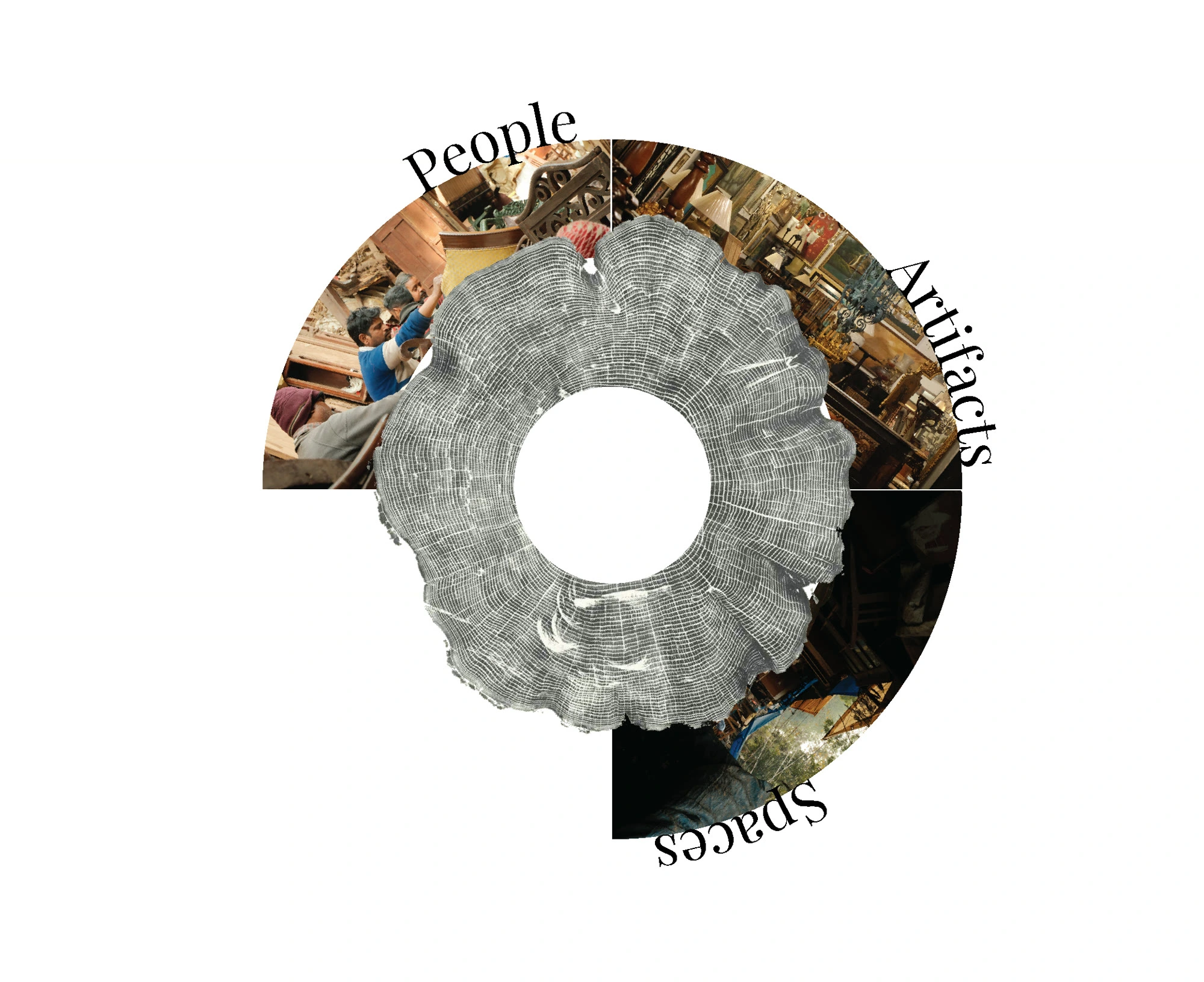 The three lenses of the study — artifacts, people and spaces — arranged around a tree-ring section
