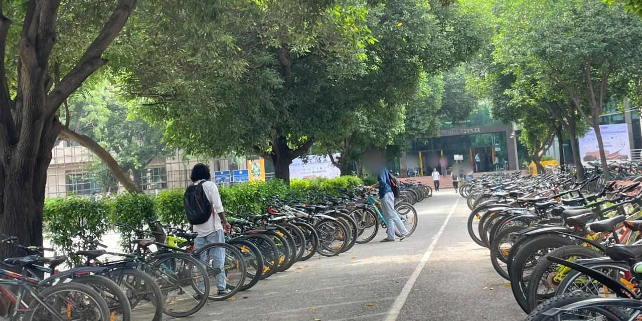 The parking lane looking south to the Lecture Hall Complex, with rows of cycles along both kerbs under a canopy of trees