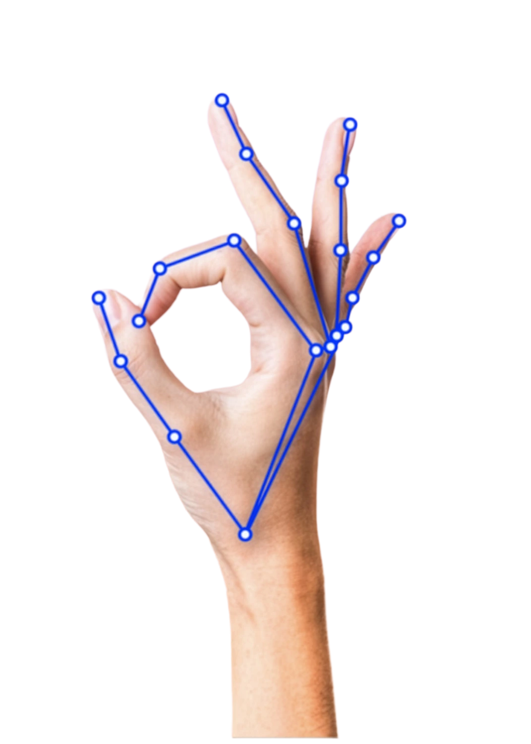A hand with a MediaPipe skeleton of tracked joints overlaid