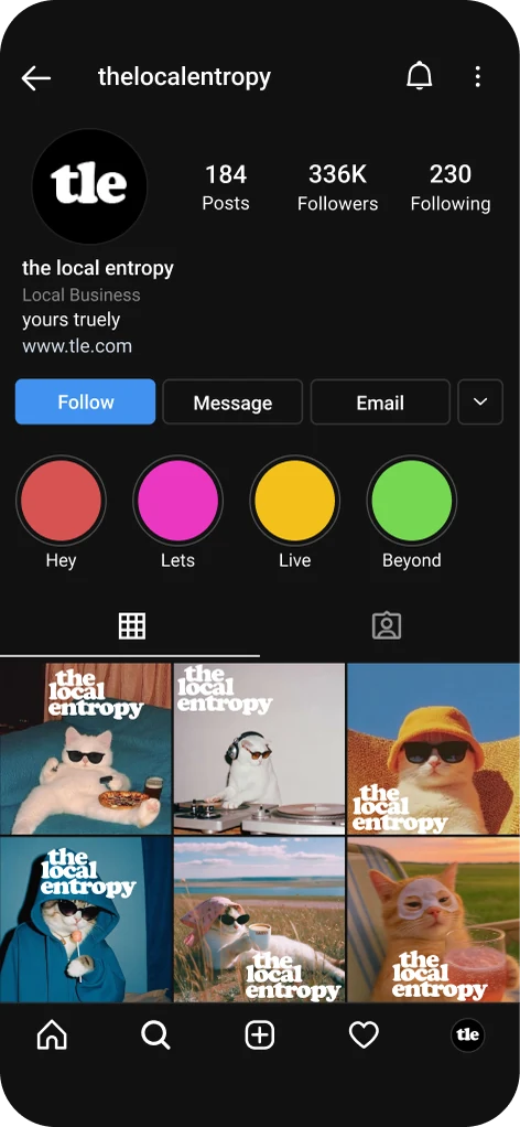 The Local Entropy Instagram profile — 336K followers, a curated grid feed