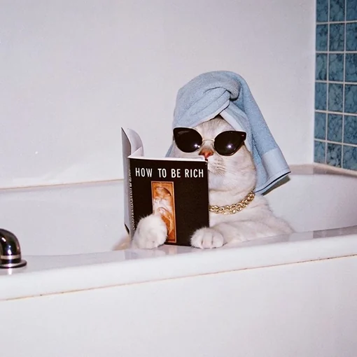 A cat in a bathtub wearing a towel and sunglasses, reading a book titled How To Be Rich