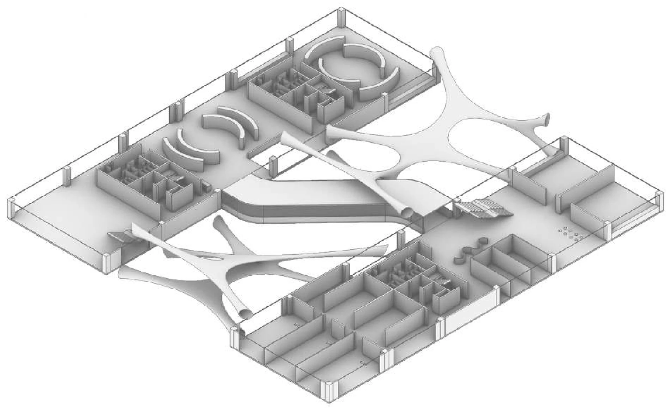 An isometric of a floor plate — an organic web threading through an otherwise rigid grid of rooms